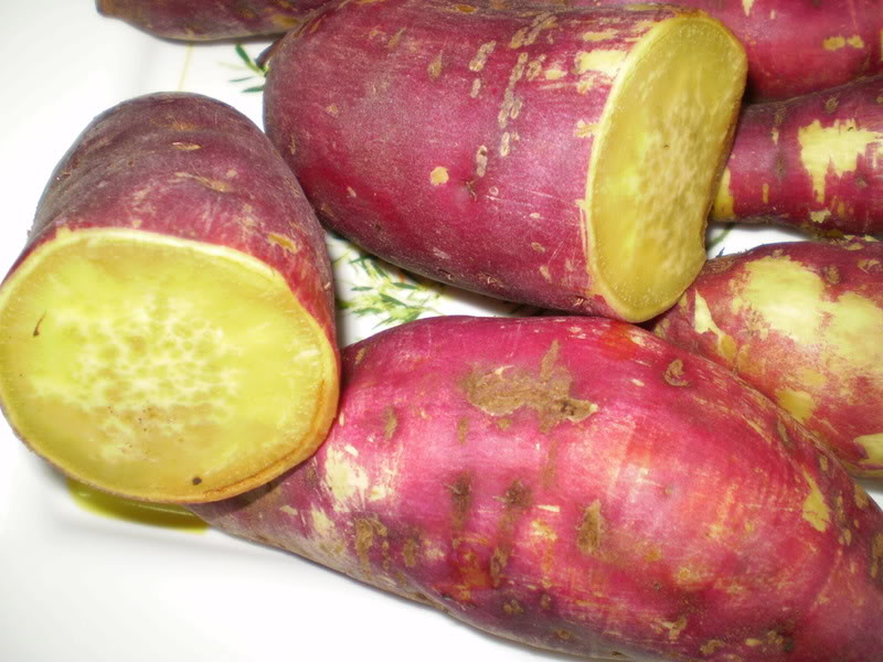 khoailang - Làm đẹp, Thời trang