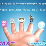 maxsim 150x150 - CMC giới thiệu điện thoại thương hiệu Việt Bluefone