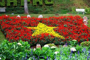 vuon hoa thanh pho da lat bon mua ron rang sac hoa 1 300x200 - Vườn hoa thành phố Đà Lạt - bốn mùa “rộn ràng” sắc hoa
