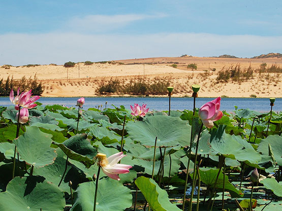 Về thăm Bàu Sen Phan Thiết